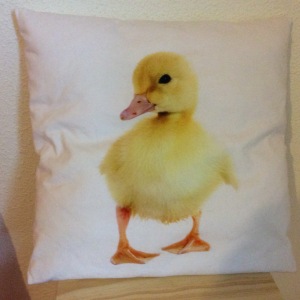 duck pillow